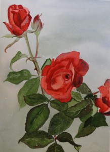 Rote Rosen  26 x 36 cm