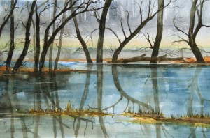 Hochwasser an der Havel Größe 38 x 56 cm